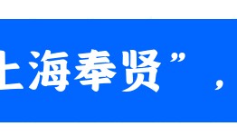热血绿茵，燃动奉贤！第三届“海里杯”职工足球赛精彩收官