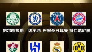 开云官网-世俱杯6大联赛!世俱杯8强联赛:沙特1队 德甲&巴甲2队 英法西1队